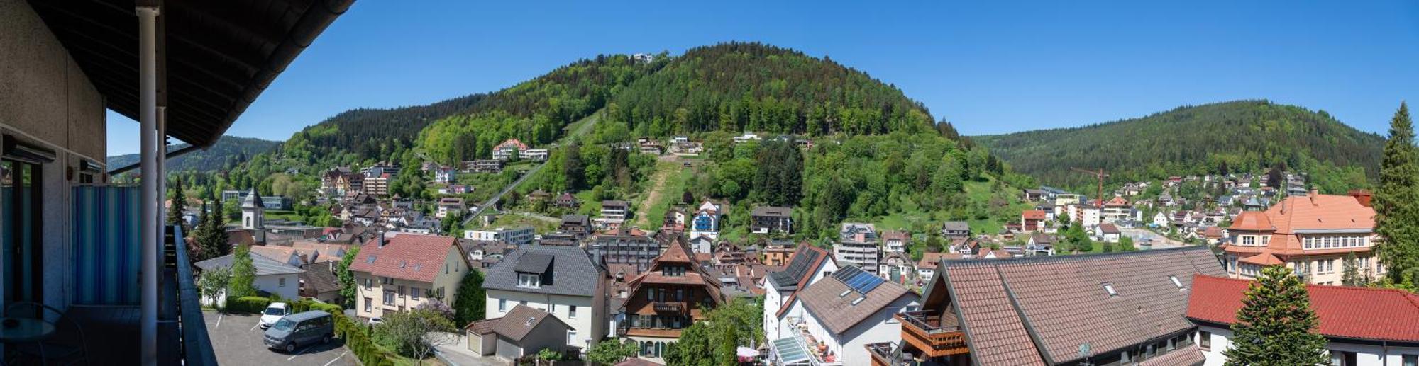 Aparthotel Schwarzwald Panorama Bad Wildbad Ruang foto